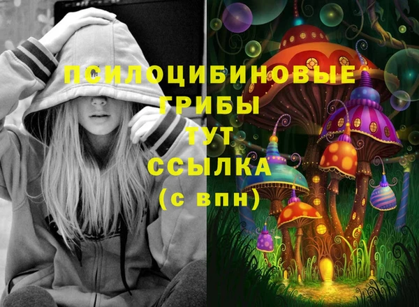 apvp Баксан
